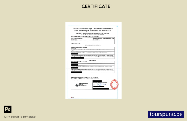 Plantilla de certificado de matrimonio internacional de Dinamarca lista para imp
